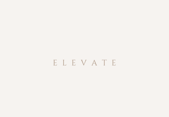 ELEVATE SEO 8
